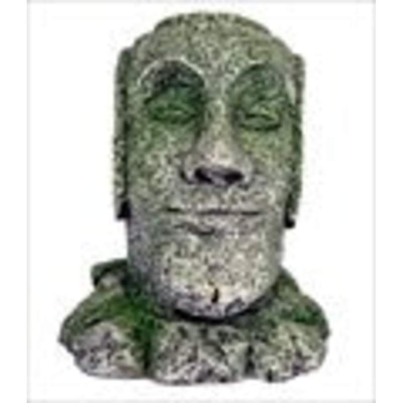 Petworx M. Rock Face