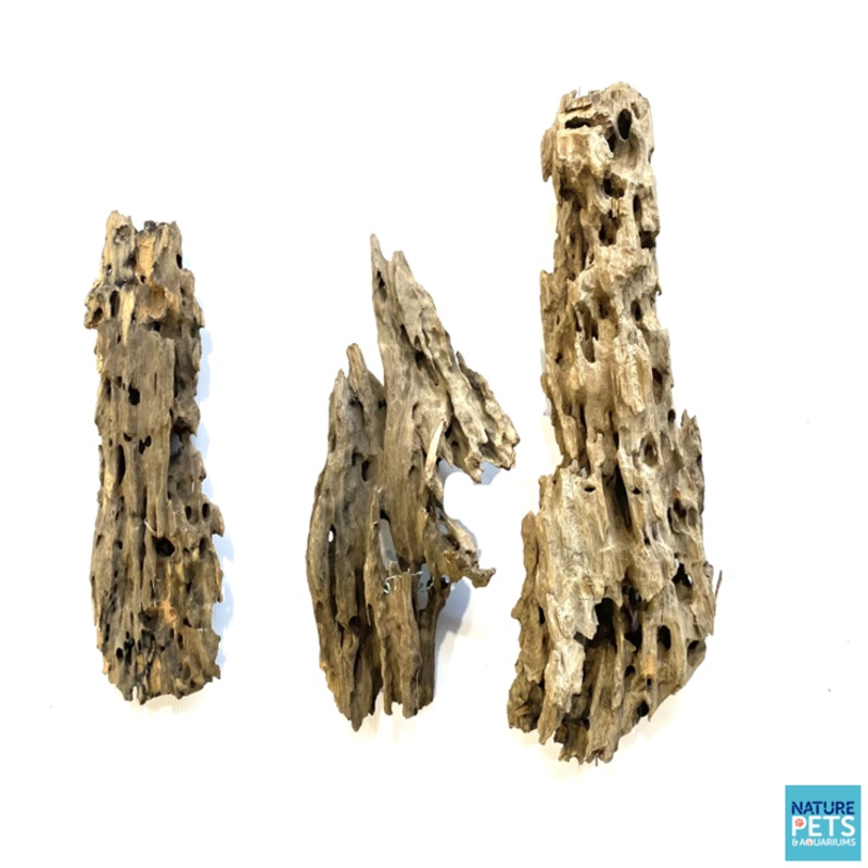 Shrimp Wood