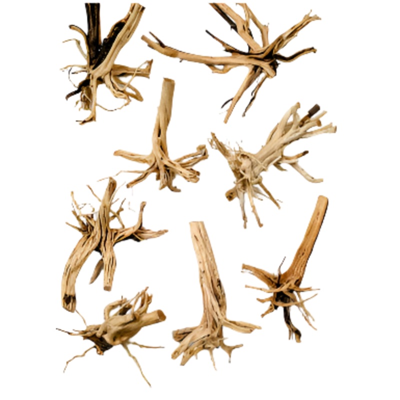 Spider Wood