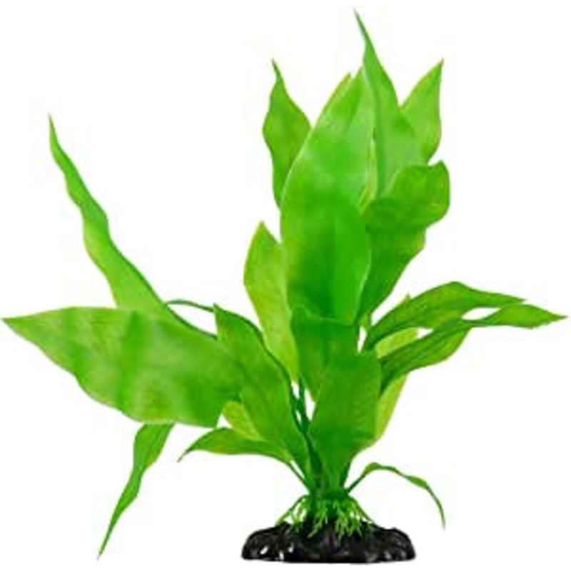 UT Green Ocean Sword Silk Plant
