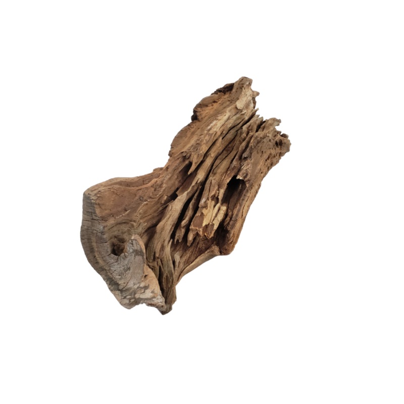Black Driftwood