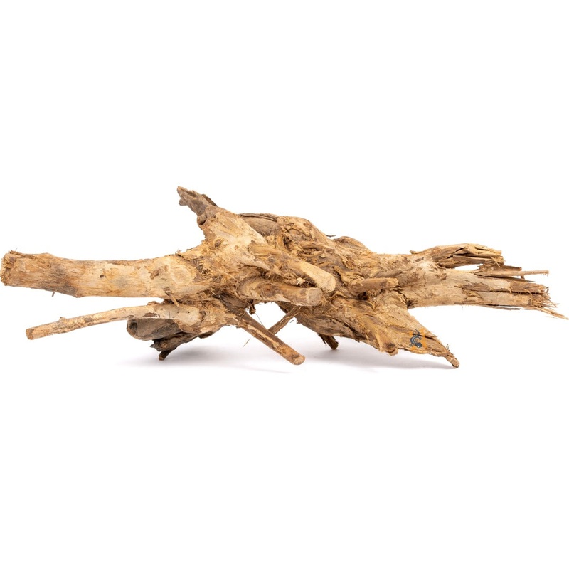 Congo Wood