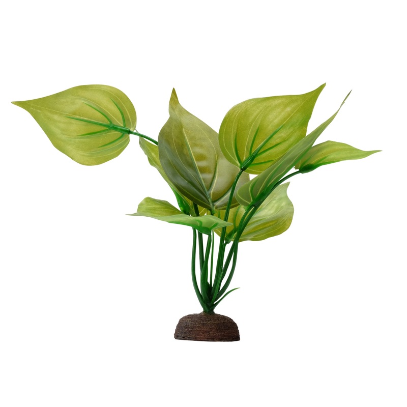 Fluval Aqualife Plant Scapes - Variegated Lizard's Tail