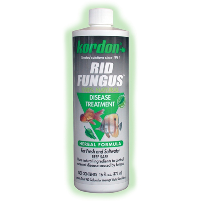 KORDON Rid Fungus 16 oz