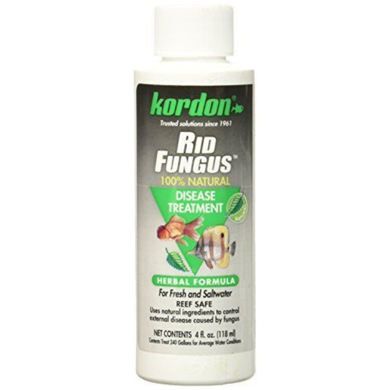 KORDON Rid Fungus 4 oz