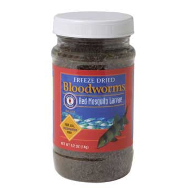 San Francisco Bay Freeze-Dried Bloodworms 1/2oz