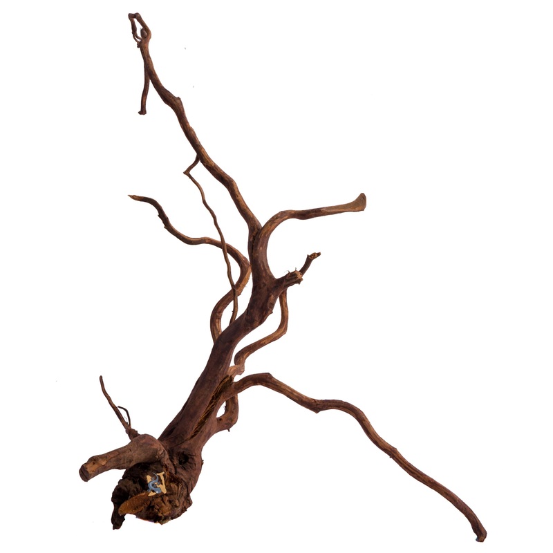 Amazon Wood