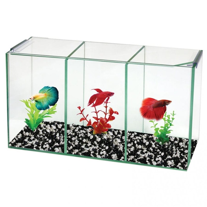 Aqua One Betta Trio Cube  (36x12x20cm)