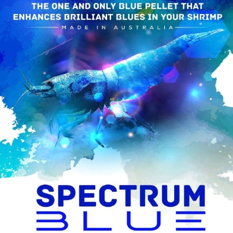SAS Spectrum Blue 30g - Food to Enhance Blue Shrimp Color