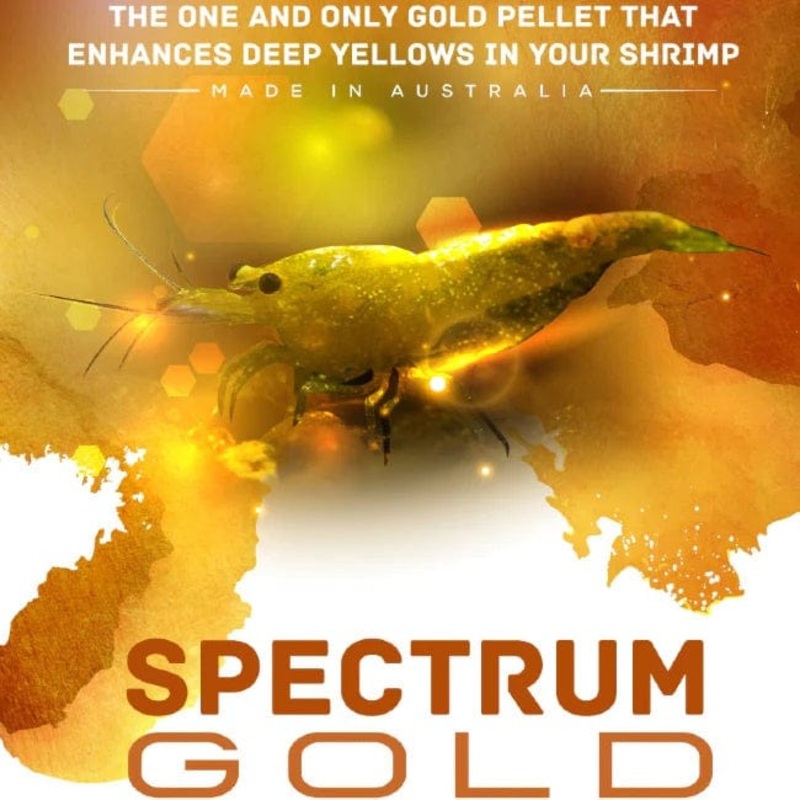 SAS Spectrum Gold 30g - Food to Enhance Yellow Shrimp Color