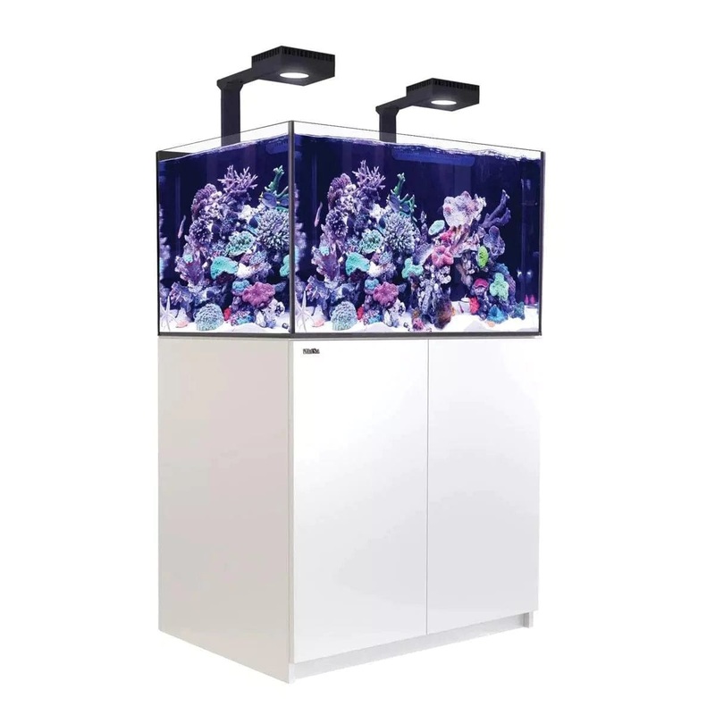 Red Sea Reefer G2+ 300 MAX (90x57.5x55cm) - White