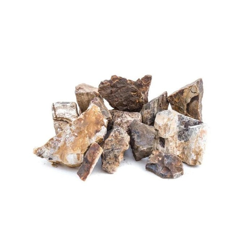 Petrified Wood - Per Kg