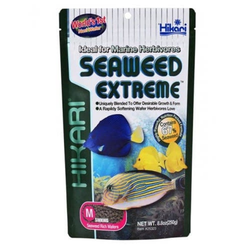 Hikari Seaweed Extreme Wafer M 250g
