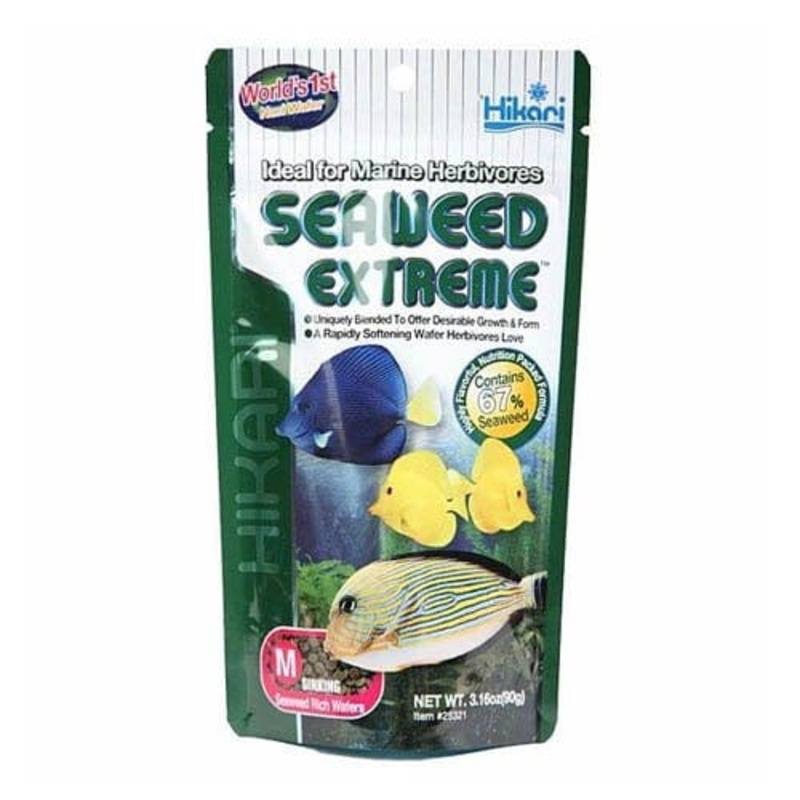 Hikari Seaweed Extreme Wafer M 90g
