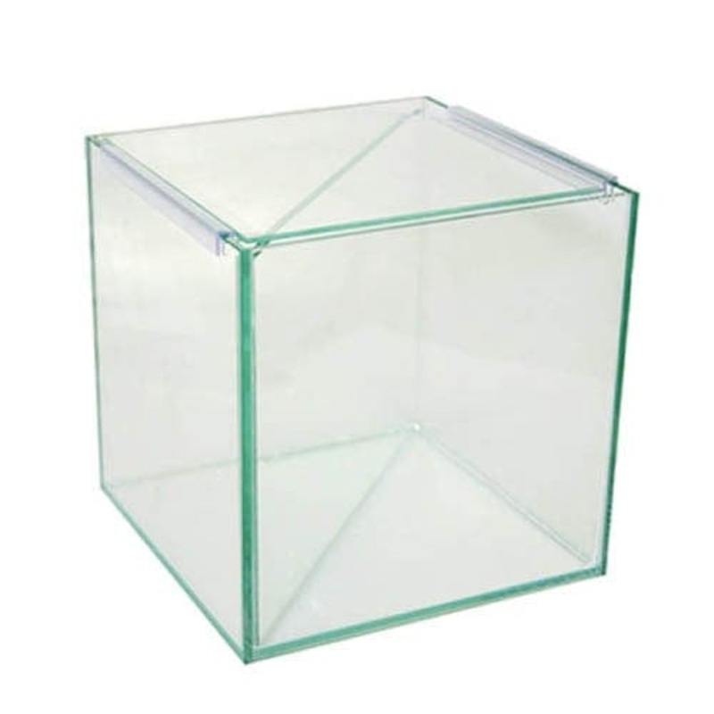 Aqua One Betta Divided Glass Tank 20x20x20cm - 8L