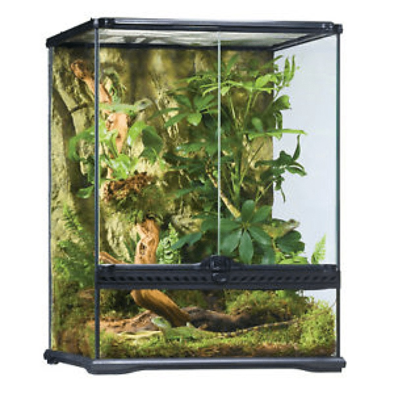 Exo Terra Terrarium - Small Tall (45 x 45 x 60cm)