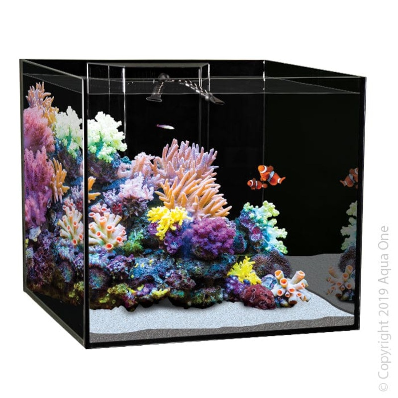Aqua One ReefSys 255 Tank (90L x 55D x 53H cm)