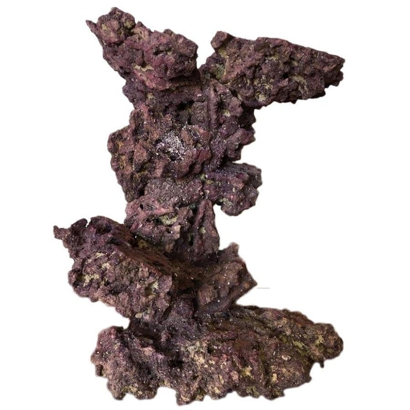 Caribsea Life Rock - Coral Tree