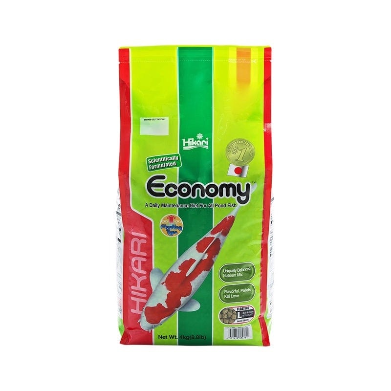 Hikari Economy Large 4kg