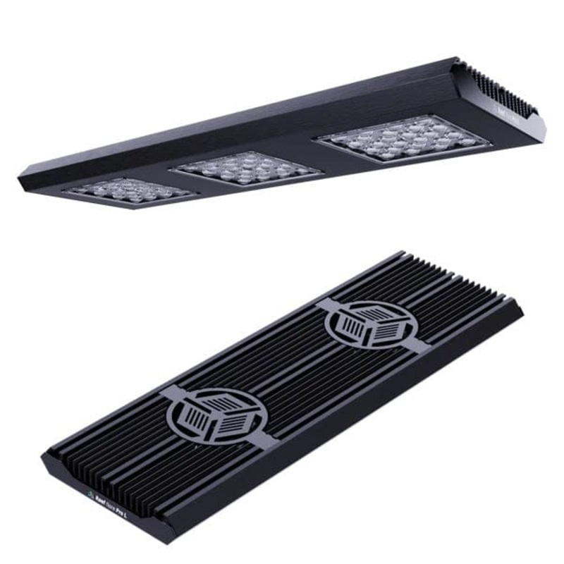 Reef Factory Reef Flare Pro L Black