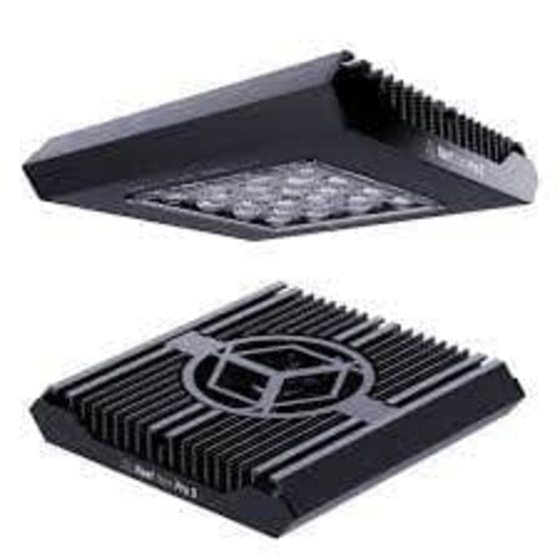 Reef Factory Reef Flare Pro S Black