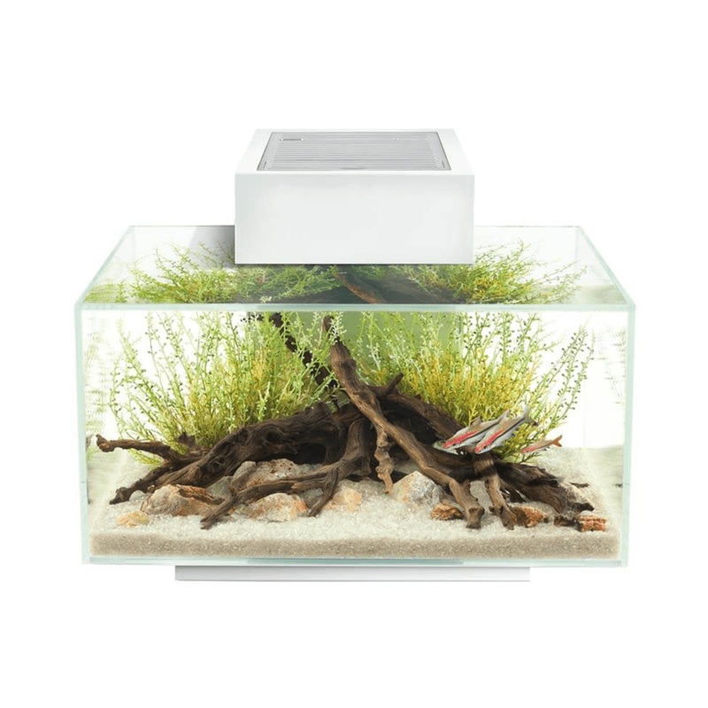 Fluval EDGE 2.0 Aquarium 23L - White