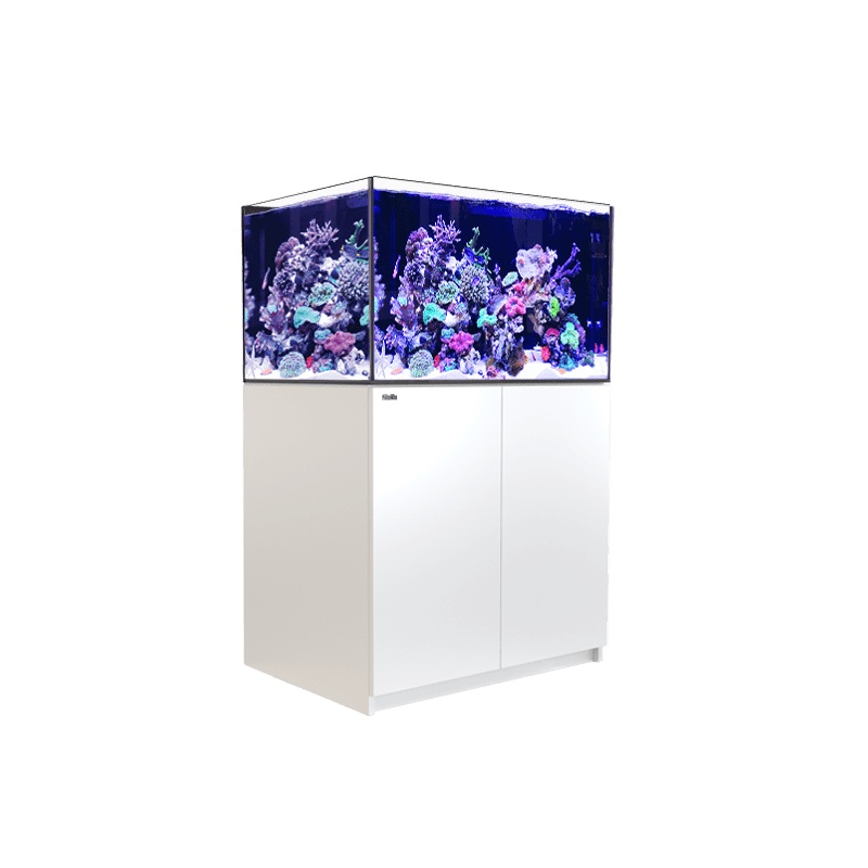 Red Sea Reefer G2+ 300 (90x57.5x55cm) - White