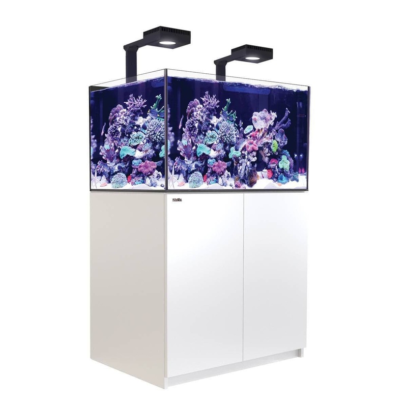 Red Sea Reefer G2+ 300 DELUXE (90x57.5x55cm) - White