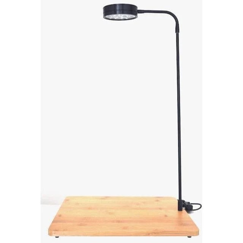 Bioscape LED Landscape Bamboo 7w