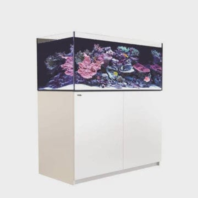 Red Sea Reefer G2+ 425 (120x60x55cm) - White