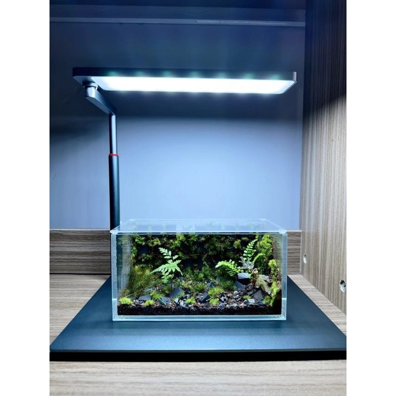 LEDSTAR AQ-N WRGB Nano Smart Light Base (Dark Grey)