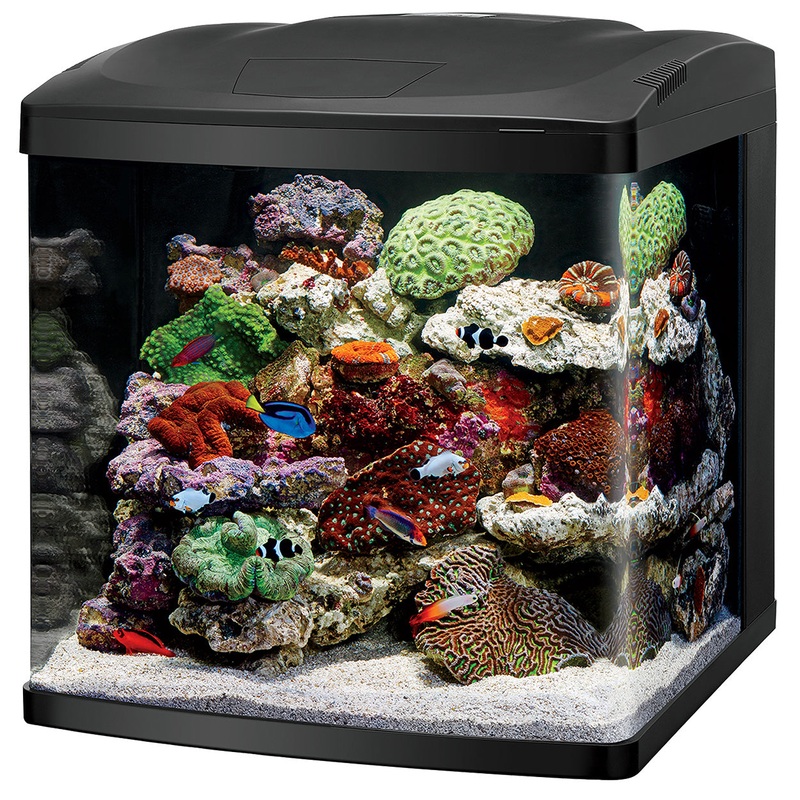 Coralife LED BioCube - 32 gal