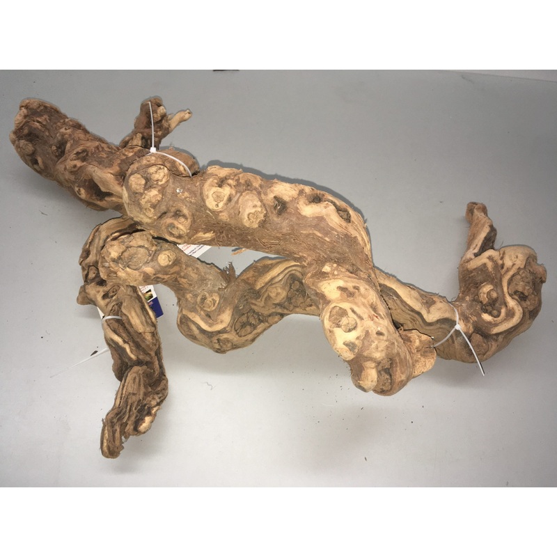 Grapevine Wood, XL 14-16?