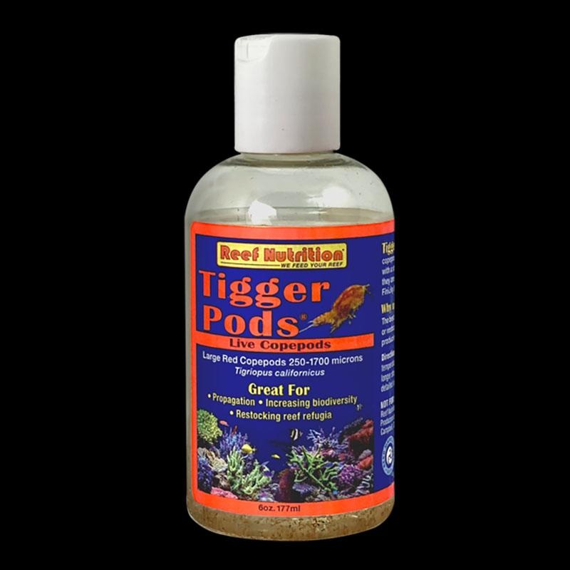 Reef Nutrition Tigger Pods