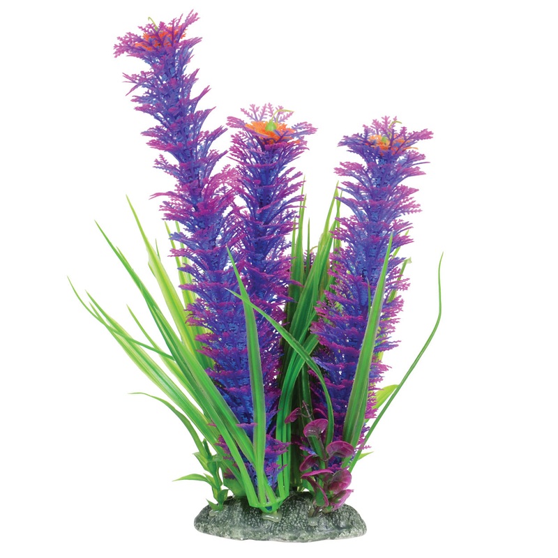 Underwater Treasures Ambulia - Violet - 12"