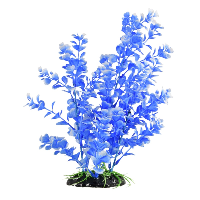 Underwater Treasures Blue Moon Bog Plant