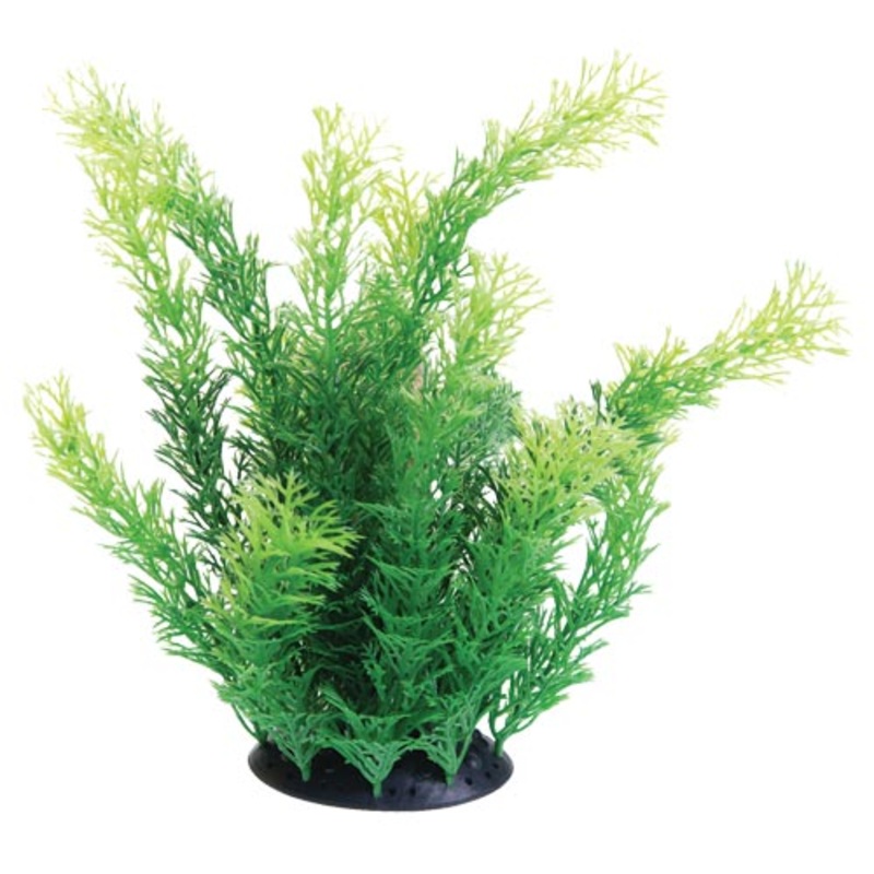 Underwater Treasures Cabomba - 10"