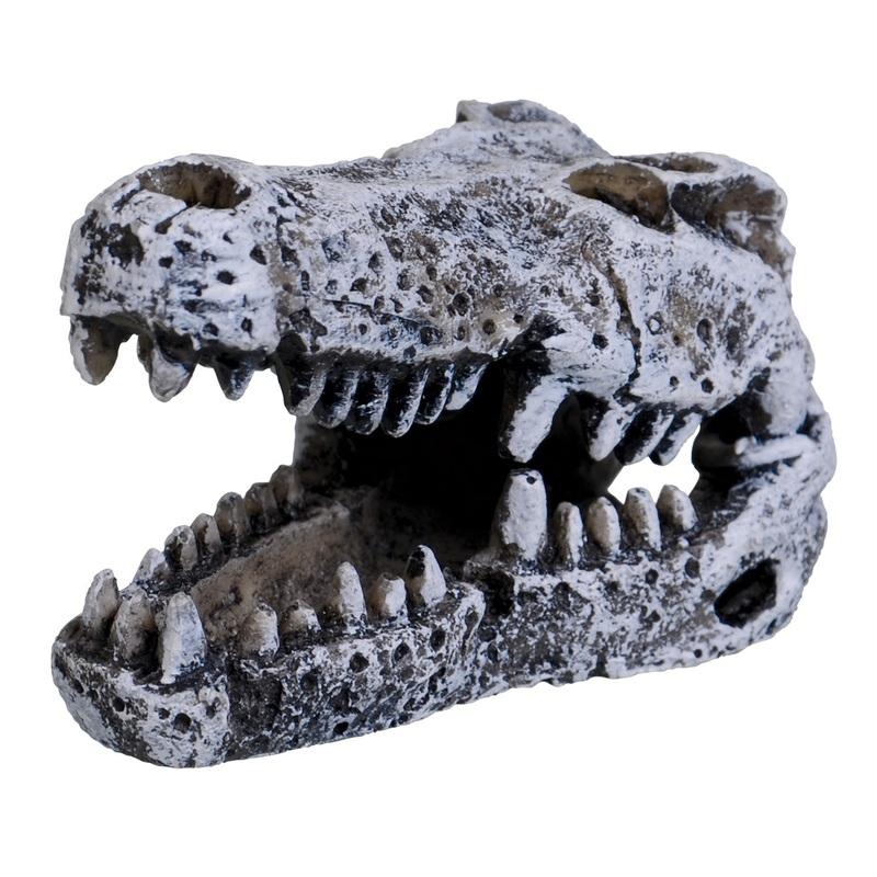 Underwater Treasures Crocodile Skull - Mini