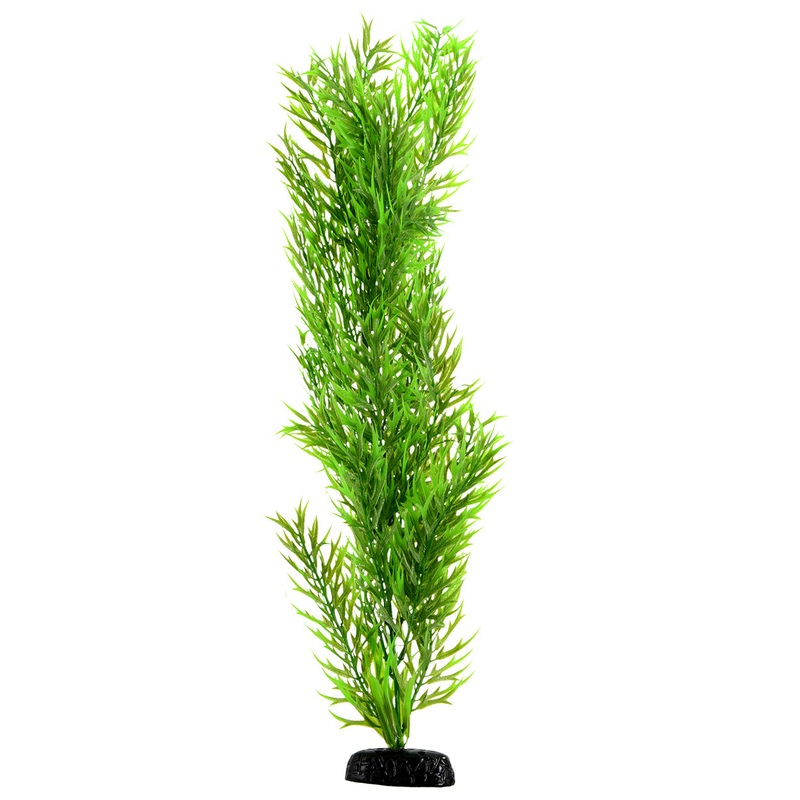 Underwater Treasures Green Bamboo - 24"