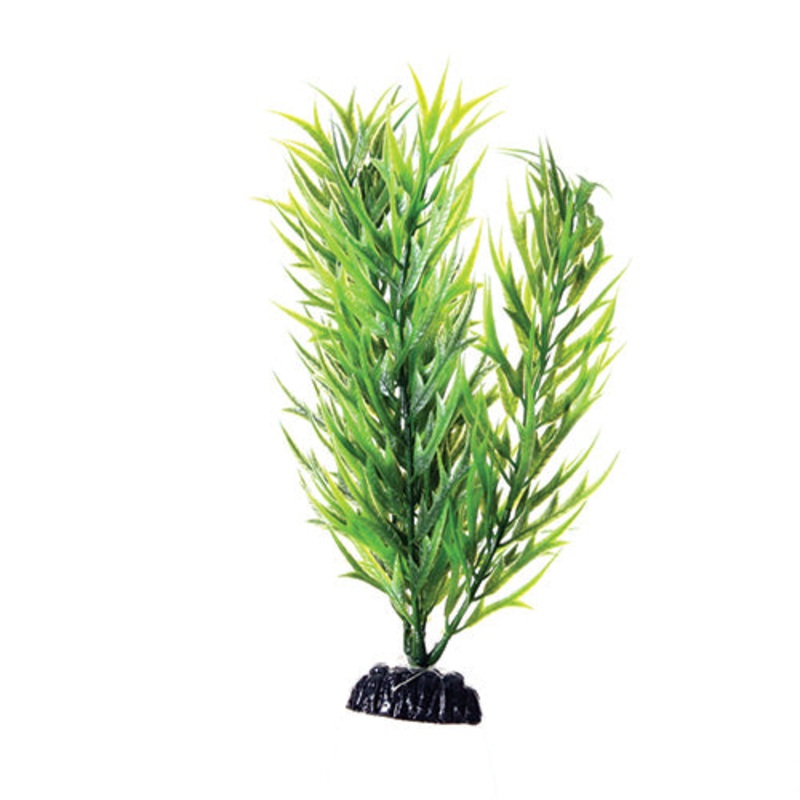 Underwater Treasures Green Bamboo - 8"