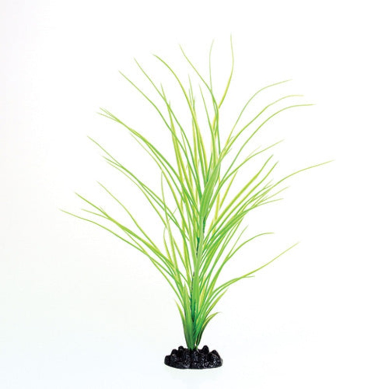 Underwater Treasures Green Hairgrass - 16"