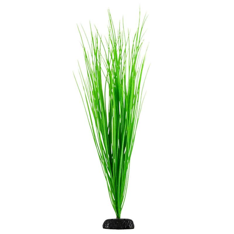 Underwater Treasures Green Hairgrass - 24"