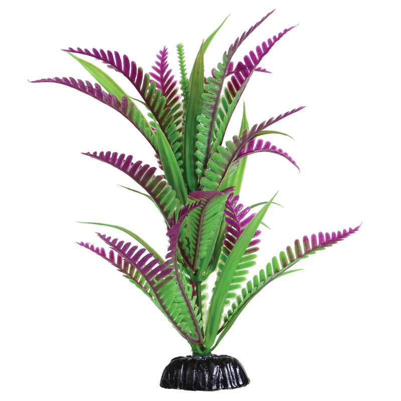 Underwater Treasures Lonely Heart Fern - 8"