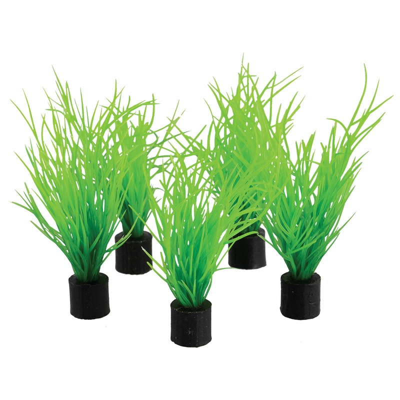 Underwater Treasures Mini Plant - Bog Grass - 3" - 5 pk
