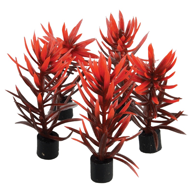 Underwater Treasures Mini Plant - Red and Brown - 3" - 5 pk