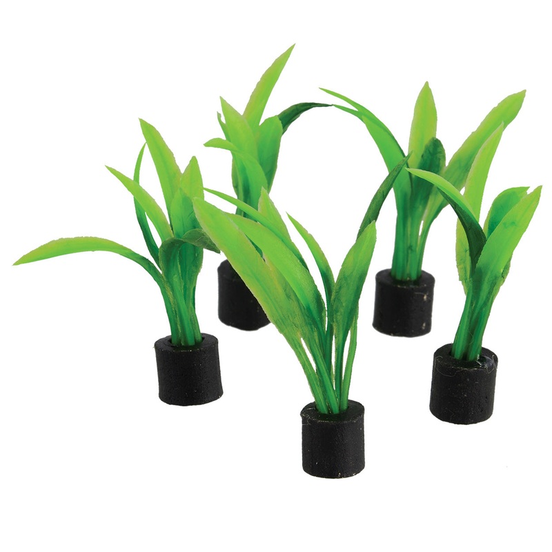 Underwater Treasures Mini Plant Sword - Large - 2.75" - 5 pk