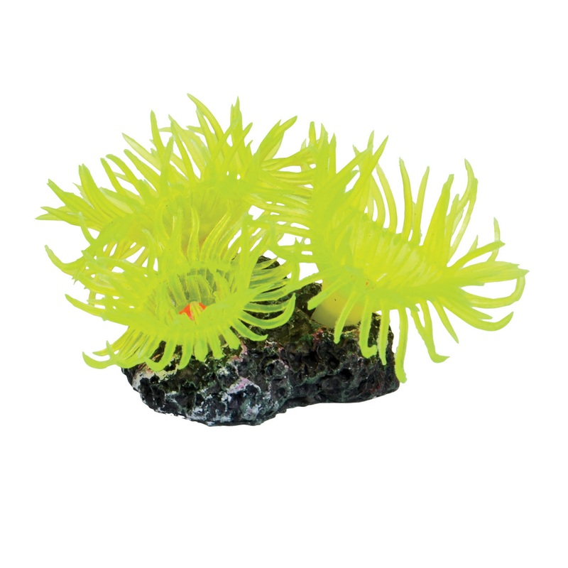 Underwater Treasures Mini Sun Polyp