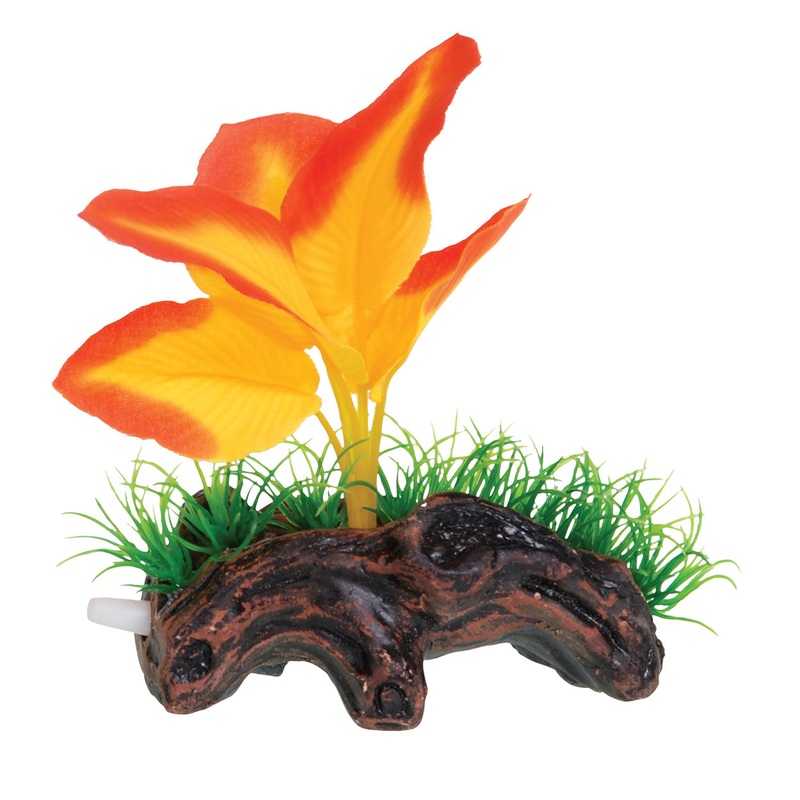 Underwater Treasures Orange Broad Leaf Mini Log