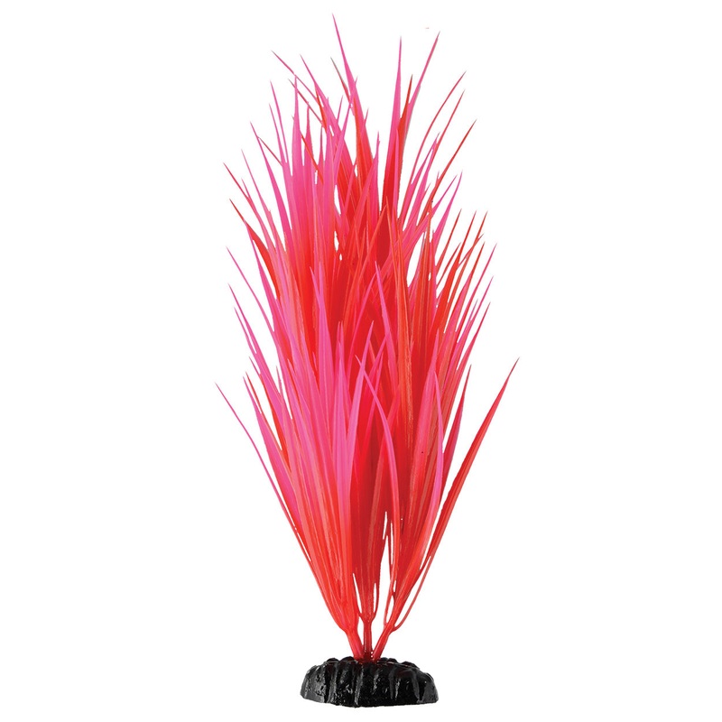 Underwater Treasures Rose Nile Grass - 11.5"