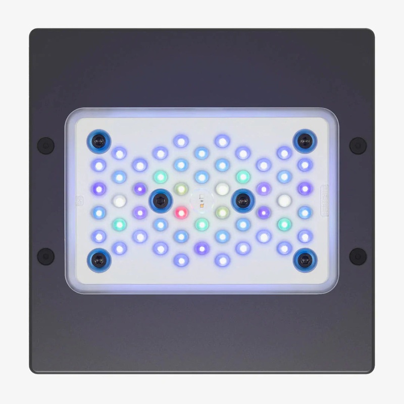 EcoTech Marine Radion XR15 G6 LED Lighting - Blue